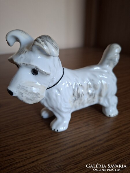 Alba Julia porcelán terrier kutya. Hibátlan. Jelzett