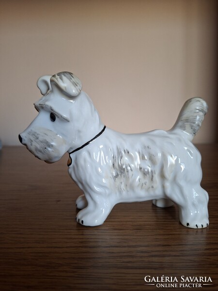 Alba Julia porcelán terrier kutya. Hibátlan. Jelzett