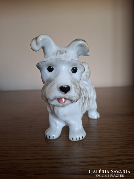 Alba Julia porcelán terrier kutya. Hibátlan. Jelzett