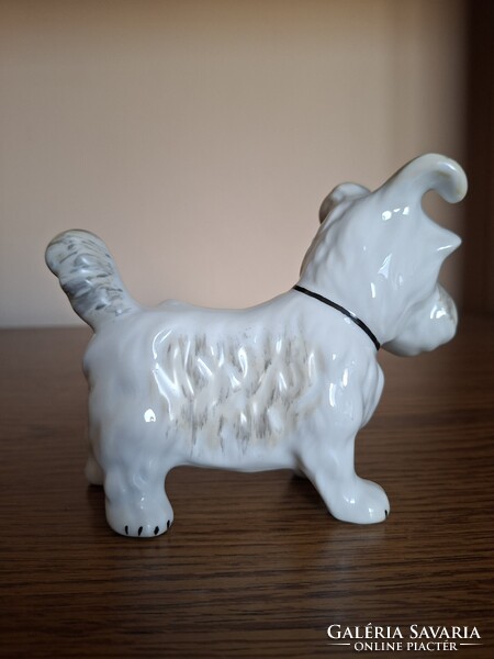 Alba Julia porcelán terrier kutya. Hibátlan. Jelzett