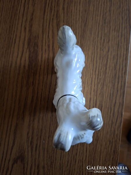 Alba Julia porcelán terrier kutya. Hibátlan. Jelzett