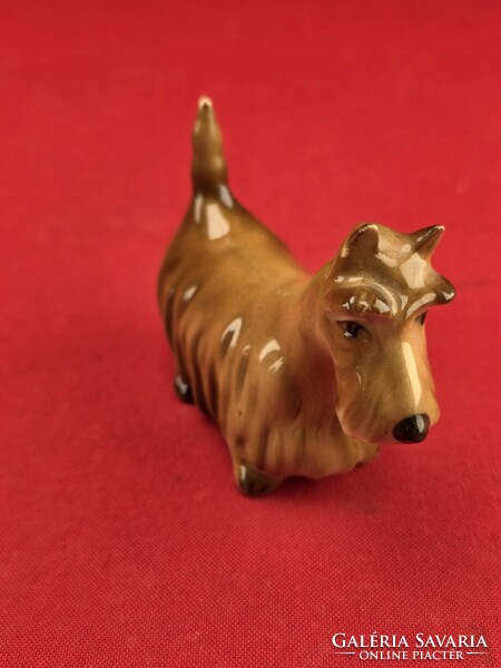 Zsolnay skót terrier