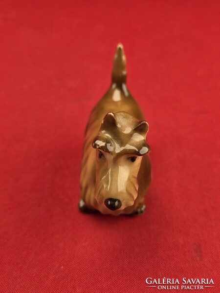 Zsolnay skót terrier