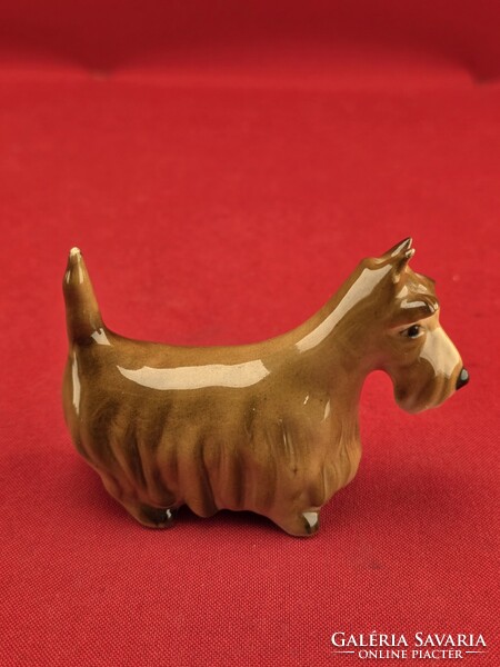 Zsolnay skót terrier
