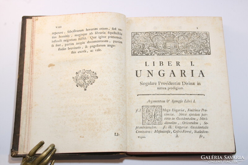 1768 - Túróczi László - Ungaria - Magyarország ismertetése Gyönyörű bőrkötésben !!