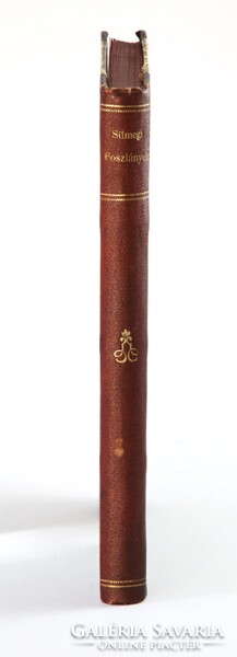 1901 - Sümegi Kálmán - Foszlányok Szakács Andor országgyűlési képviselő példánya Dugonics-társaság