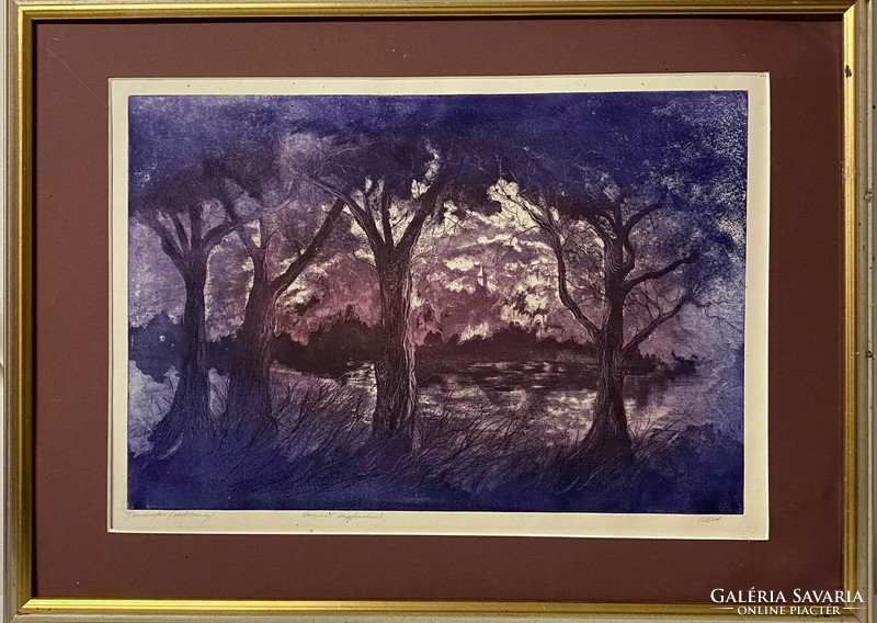 Olexa József: Dunai ártér (szines rézkarc)