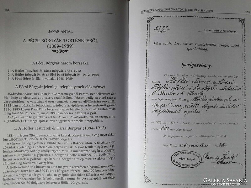 Pécs-Baranya / Martyn Ferenc, Zsolnay, Népművészet...