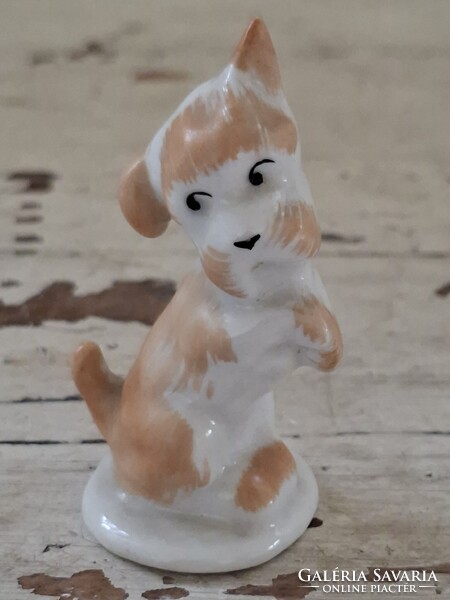 Aquincum porcelán kutya