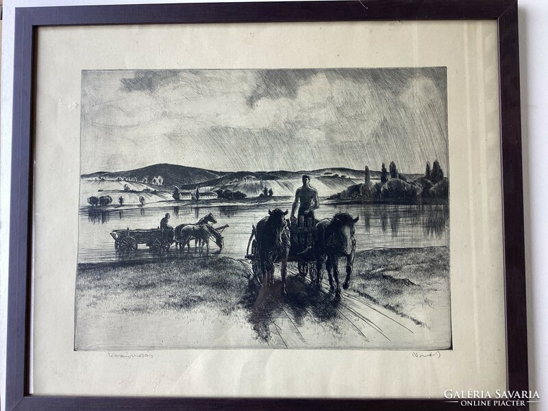 Novák Lajos ( 1927 - 1989 ) , rézkarca , üvegezett kertben .