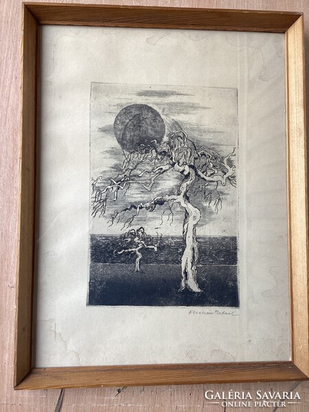 Ábrahám Rafael  - Kiszáradt Fák rézkarca , üvegezett kertben .