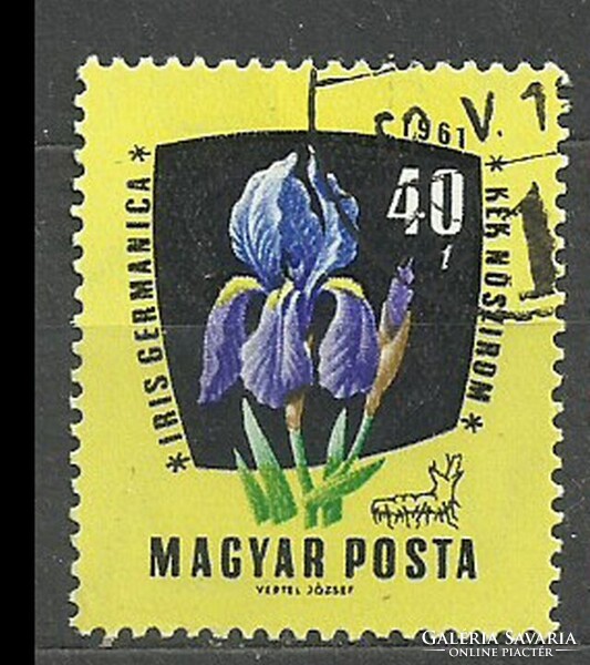 Gyógynövények 40 f