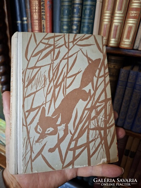 1964 FEKETE ISTVÁN : TÉLI BEREK második  kiadás  (az ikonikus  TÜSKEVÁR folytatása)