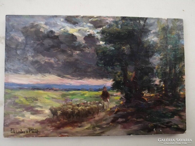 PÁLLYA CAROLUS /1875-1948/ - BIRKÁKAT TERELŐ JUHÁSZ