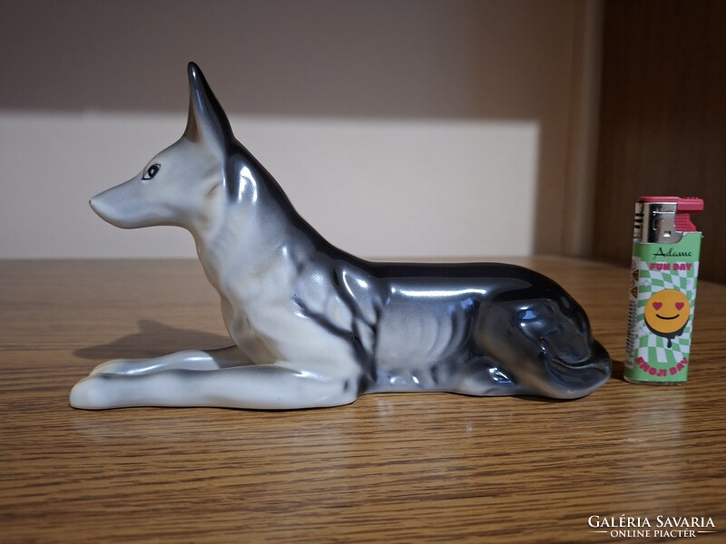 Cluj porcelain German Shepherd dog. Flawless. Marked