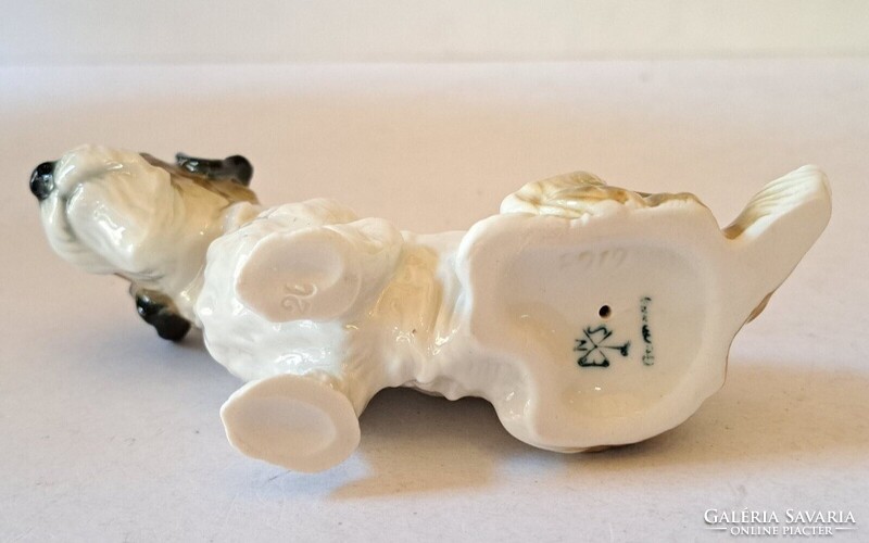 Ens Volkstedt porcelán foxterrier kutya figura német jelzett porcelán 1950-es évek VITRIN ÁLLAPOT