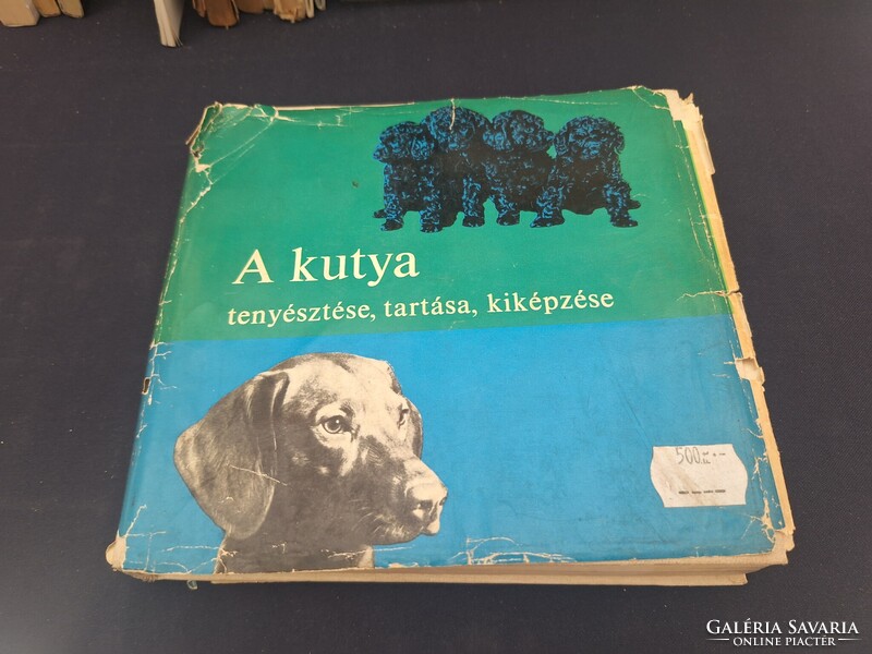 A kutya tenyésztése, tartása, kiképzése. 1550.-Ft