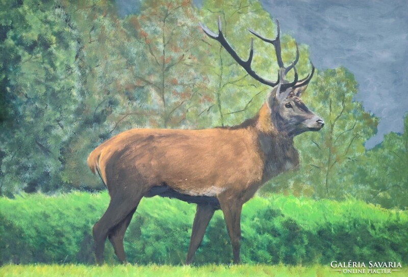 SZARVASBIKA