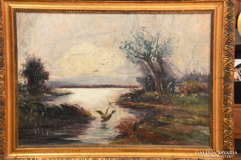 Olgyay Ferenc (?): Vadkacsa
