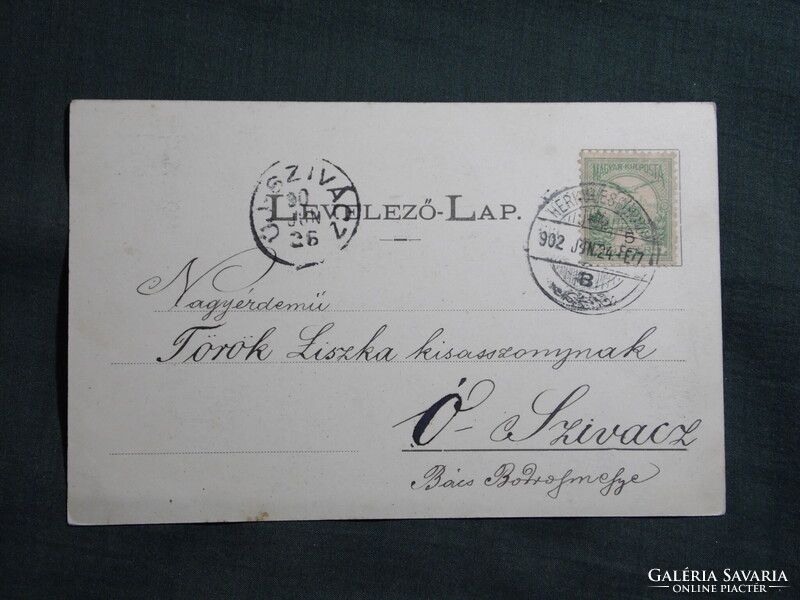 Képeslap,Románia,Baile Herculane,Herkulesfürdő,Ferenc József udvar látkép,részlet,1902-