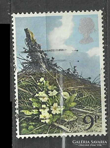 Angol 9 p