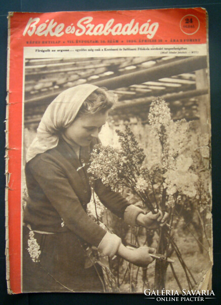 Béke és Szabadság - c. újság