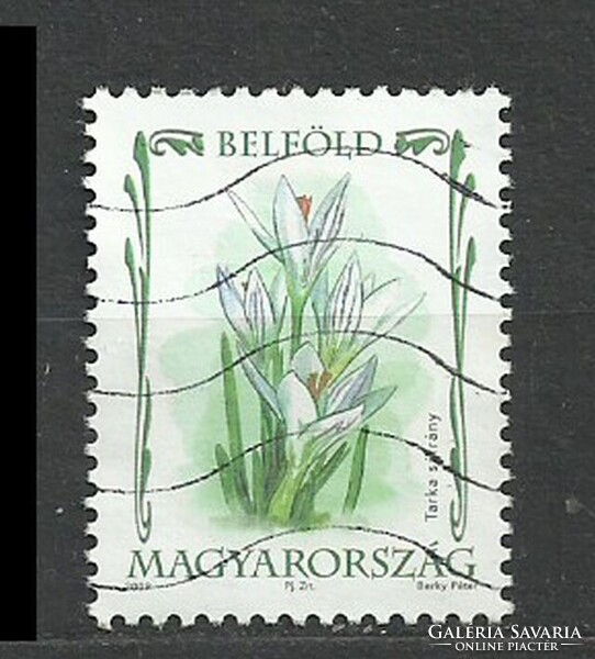 Belföld