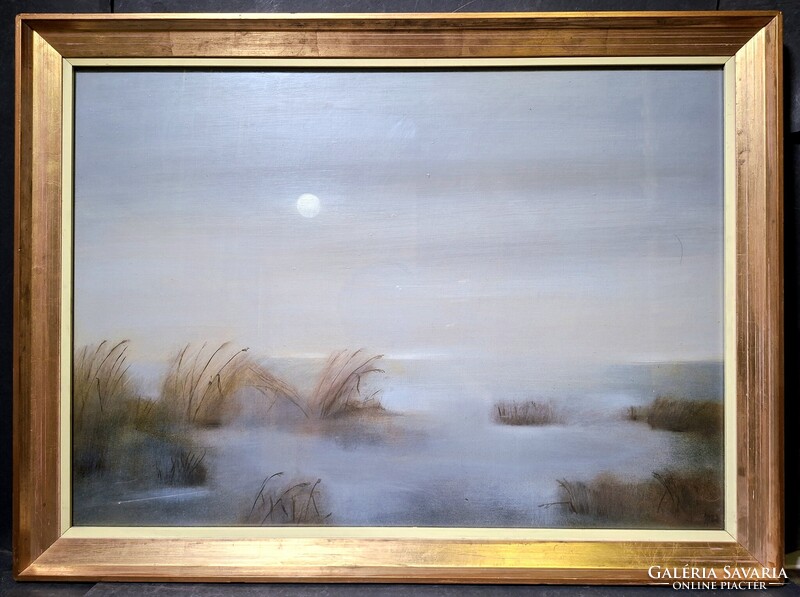 Zöld Anikó: Holdfényes este a Balaton partján - olajfestmény szép keretben! 70x50 cm, Balatoni nádas