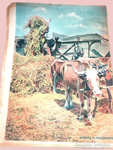 Antik 1943. augusztus 18 MAGYAR FUTÁR ( Rajniss ) II. VH képes hetilap A / 3 méret a képek szerint