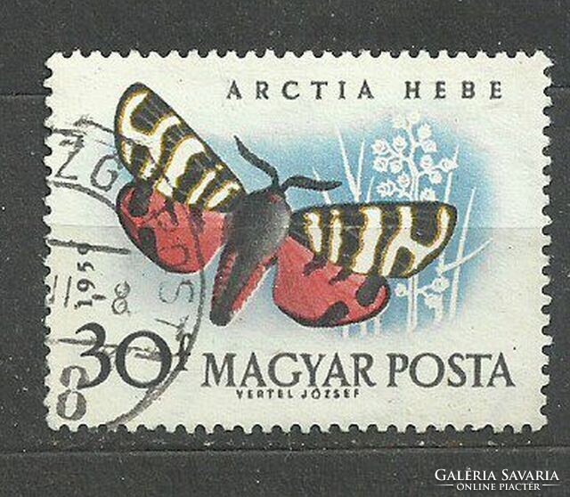 Lepkék 30 f