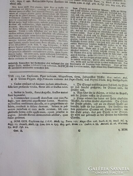 1754-es kézzel színezett rézmetszet (Spanyol Paprika) + Eredeti kódexlapok és Eredetiségigazolás