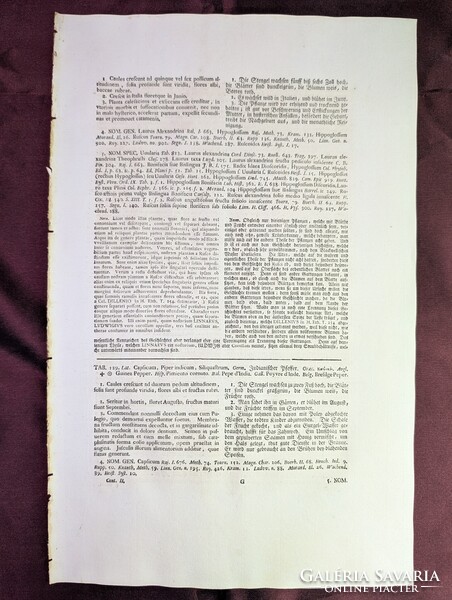 1754-es kézzel színezett rézmetszet (Spanyol Paprika) + Eredeti kódexlapok és Eredetiségigazolás