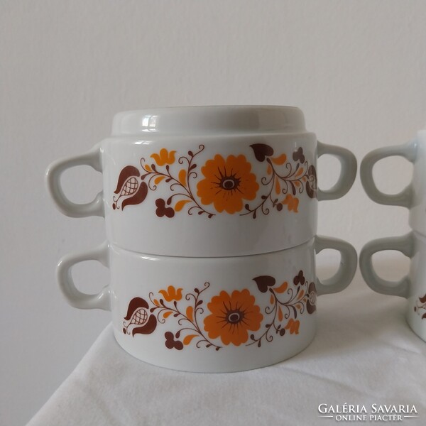4db Alföldi porcelán leveses csésze Panni dekoral.