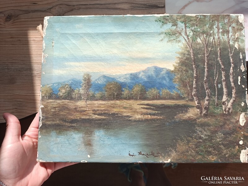 Old Signed Oil Painting 1890-1920? Majdiká??