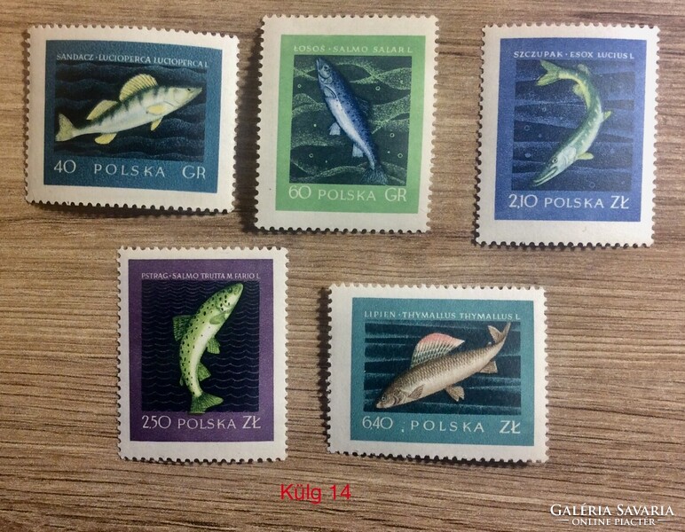 Lengyel koml. sor (Külg 14)