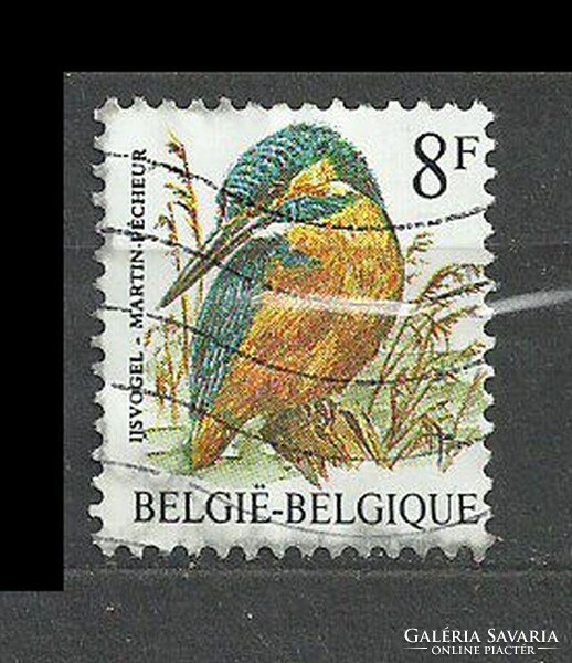 Belgium 8 F