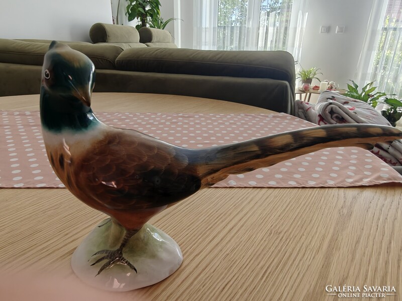 Retro Hollóházi ceramic pheasant figurine – Signed decorative bird