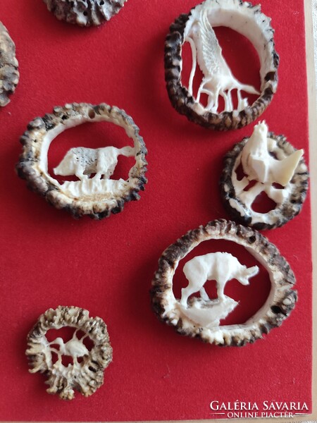 Folk art. Carved antlers of deer and roe, a unique handcrafted piece.