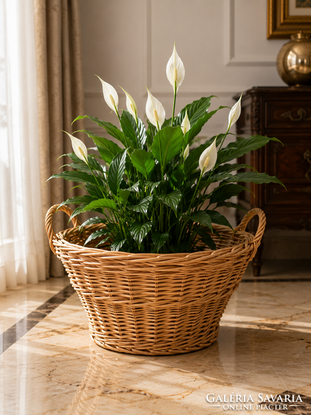 Újszerű, nagy fonott fűzfa kosár / hatalmas kaspó, virágtartó, fáskosár (49 cm)