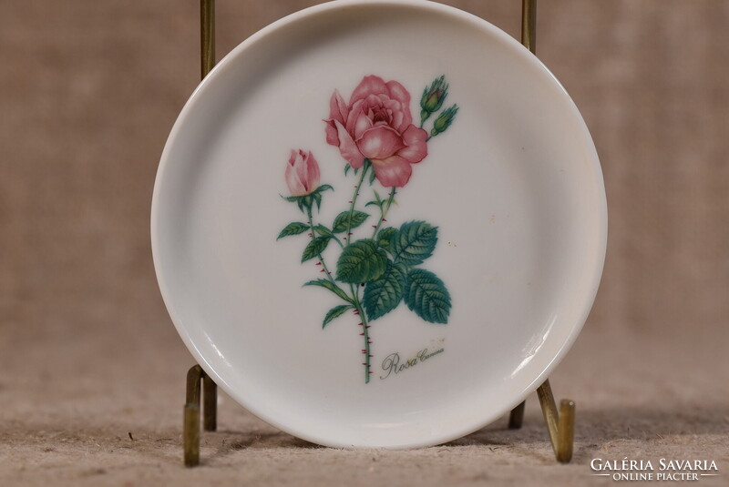Kaiser porcelán dísztányér edényalátét Rosa Canina virág Németország