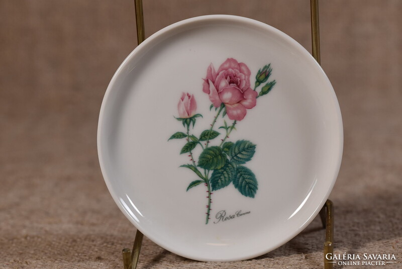 Kaiser porcelán dísztányér edényalátét Rosa Canina virág Németország