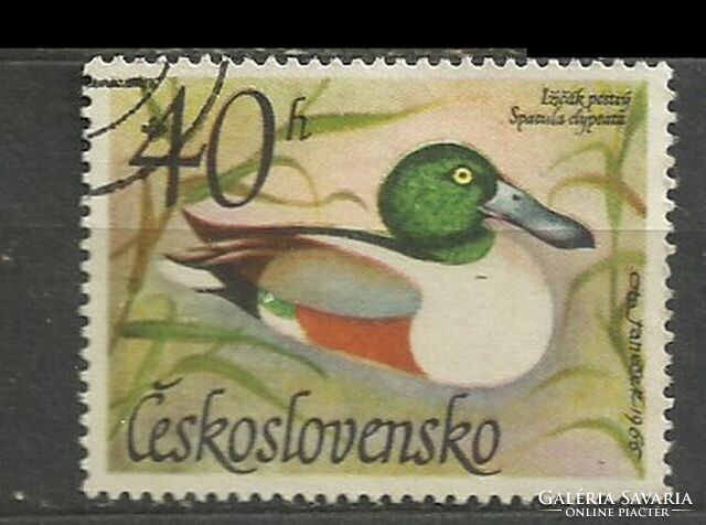 Csehszlovákia 40 h
