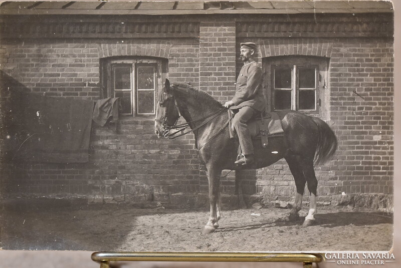Régi fotó képeslap katona lovon I. világháború Németország 1910–1920