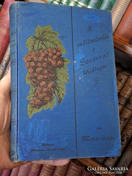 1897-IKONIKUS SZŐLÉSZ-BORÁSZ RITKASÁG!-MOLNÁR ISTVÁN: A SZŐLŐMŰVELÉS ÉS BORÁSZAT KÉZIKÖNYVE-