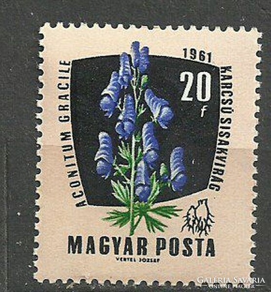 Gyógynövények 20 f