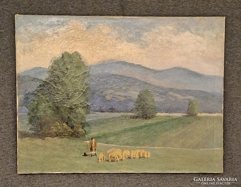 Starting at 1 Ft! Csimcsa J. signed. Landscape with animals. Oil on canvas. 60x80cm! Signed!