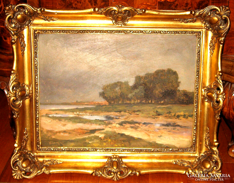 1928 Genuine Várady Gyula / 1866-1929 /: Waterside Landscape
