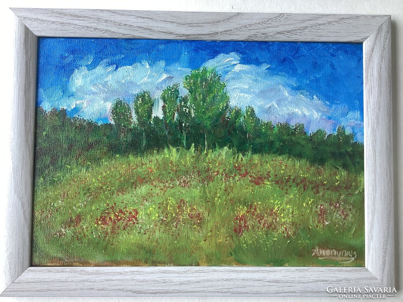 Anonymus - Poppy meadow .