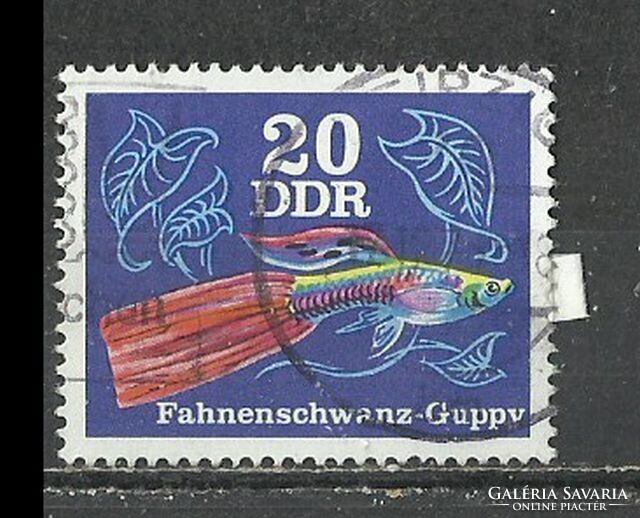 NDK 20